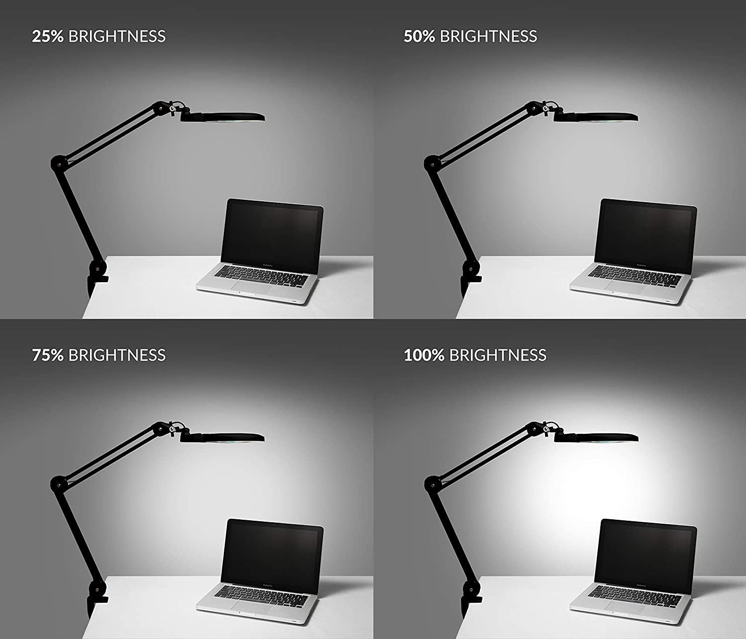 Neatfi XL Bifocals 6 Lamps Buy - Best Online Lighting Stores